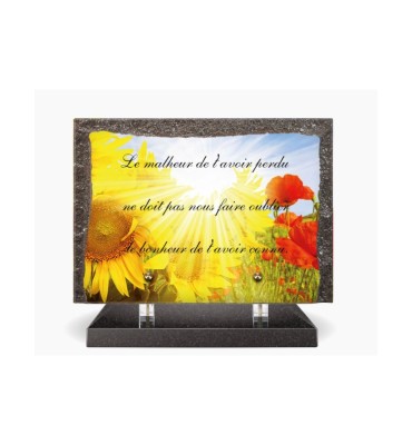 COMMANDE SPECIALE