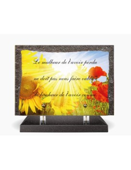 COMMANDE SPECIALE