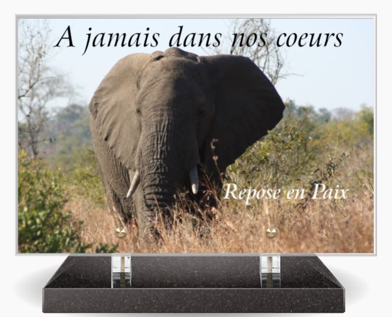 Plaques Altuglas modernes