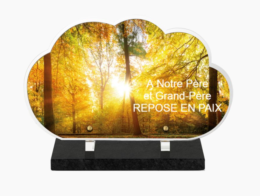 Plaque Altuglas 35X21 Nuage