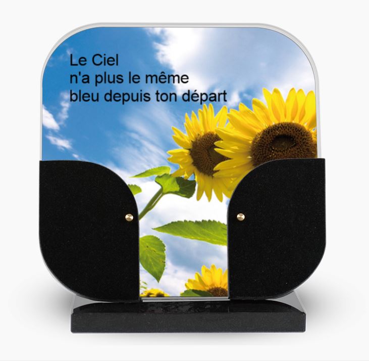Plaque Altiglas CA38 - Lif - 24x25 + Granit H7.39
