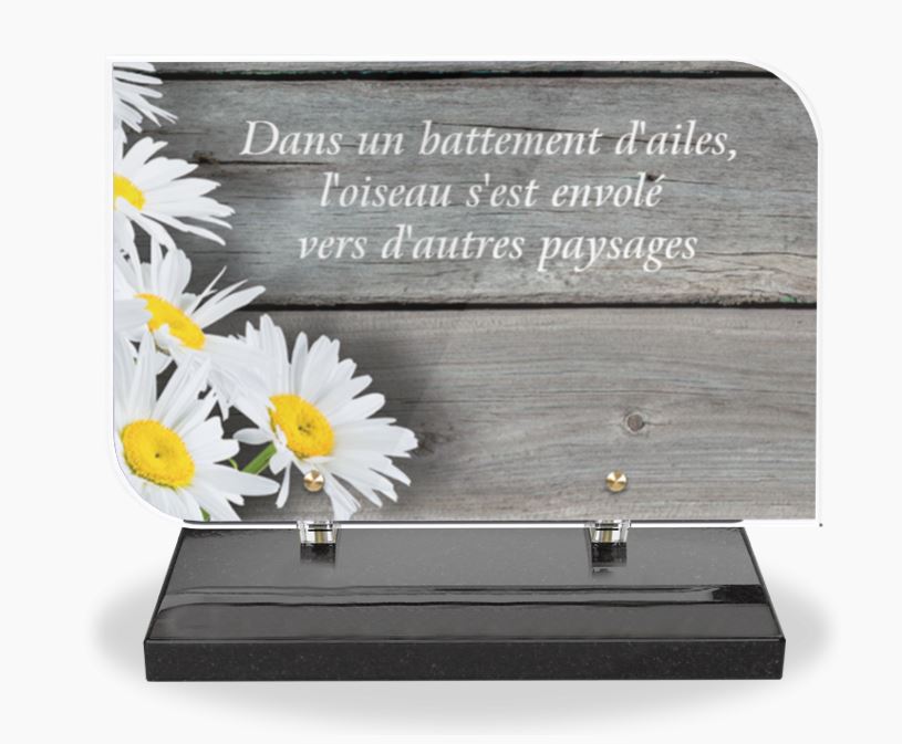 Plaque Altuglas CA54 - APF51 Réminiscence 30x20