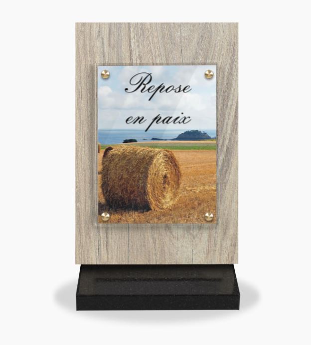 Plaque CA53-ACF811 Lucarne 22x30 Altuglas-Céramique