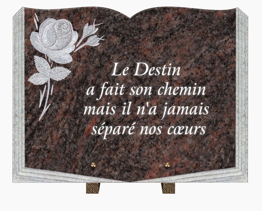 CG21 LIVRE 40X30
