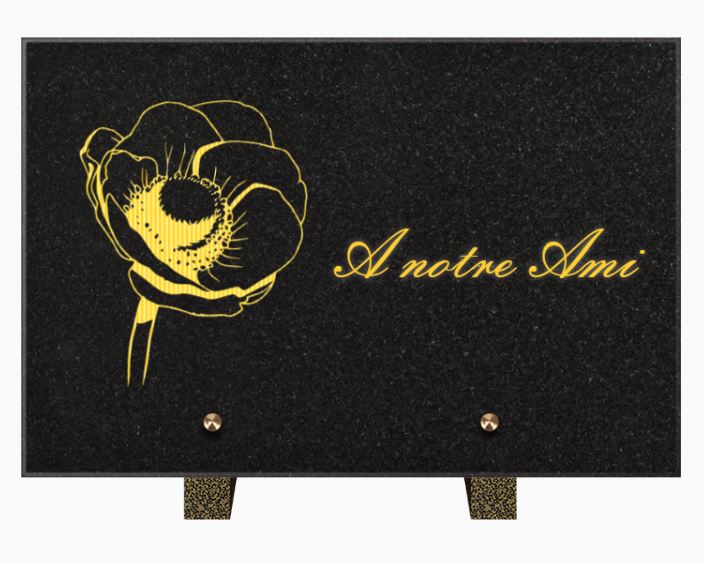 PLAQUE GRANIT CG 02 30x20