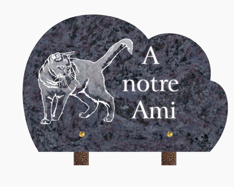 PLAQUE GRANIT CG 29 30x20