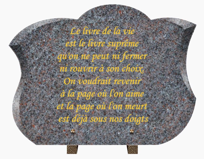 PLAQUE GRANIT CG14 40X40