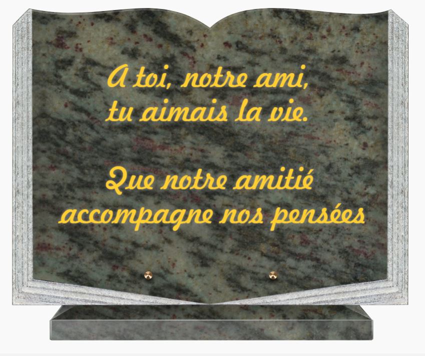 PLAQUE GRANIT LIVRE CG 07 40x30