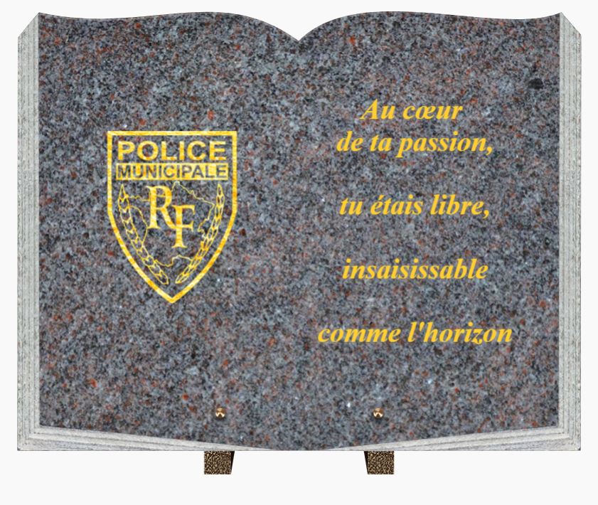 PLAQUE GRANIT LIVRE CG 08 45x35