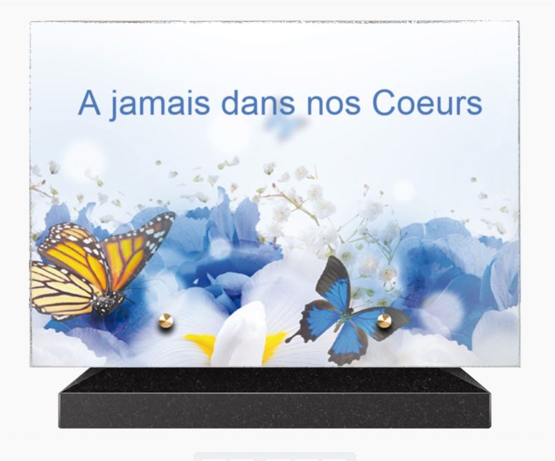 Plaque Lave Emaillée 20x30 CRM5